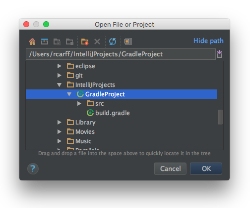 import build gradle project